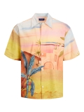 Jack & Jones landscape Hemd orange / bunt