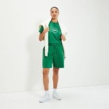 Ellesse melodie Shirt grün / weiß
